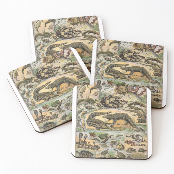 Item preview, Reptile Illustration - Larousse designed and sold by SFTStudio.