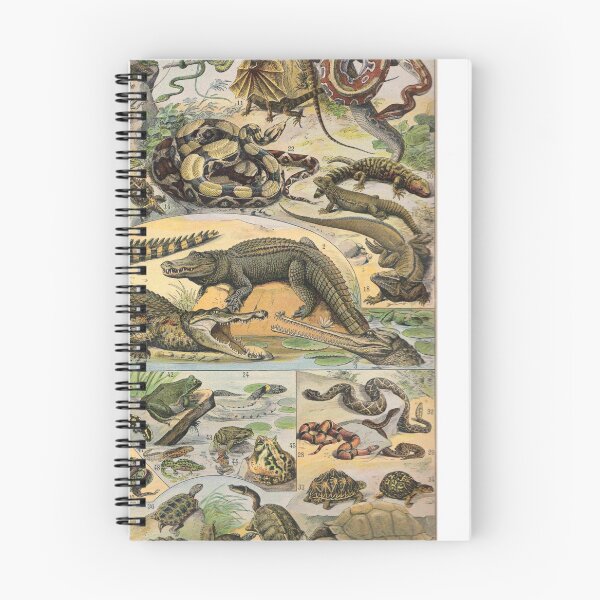 Item preview, Reptile Illustration - Larousse designed and sold by SFTStudio.