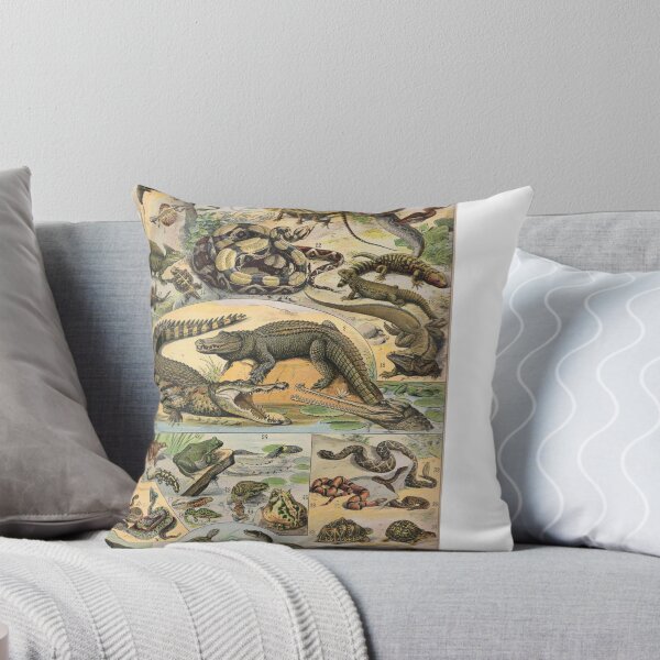 Item preview, Reptile Illustration - Larousse designed and sold by SFTStudio.