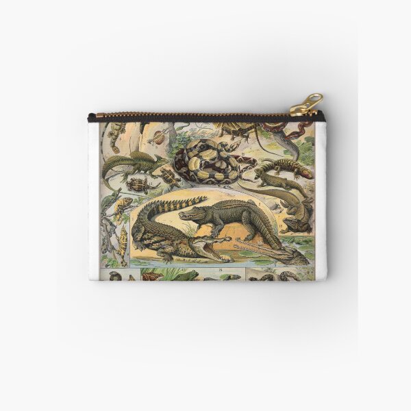 Item preview, Reptile Illustration - Larousse designed and sold by SFTStudio.