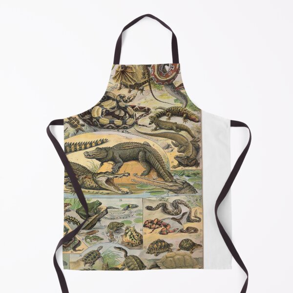 Item preview, Reptile Illustration - Larousse designed and sold by SFTStudio.