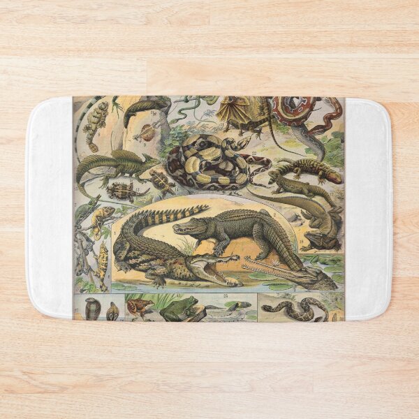 Item preview, Reptile Illustration - Larousse designed and sold by SFTStudio.