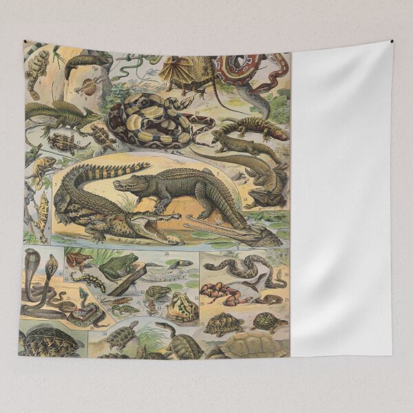 Item preview, Reptile Illustration - Larousse designed and sold by SFTStudio.