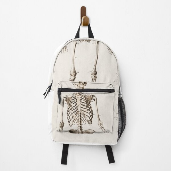 Item preview, Human Skeleton Anatomy Illustration designed and sold by SFTStudio.