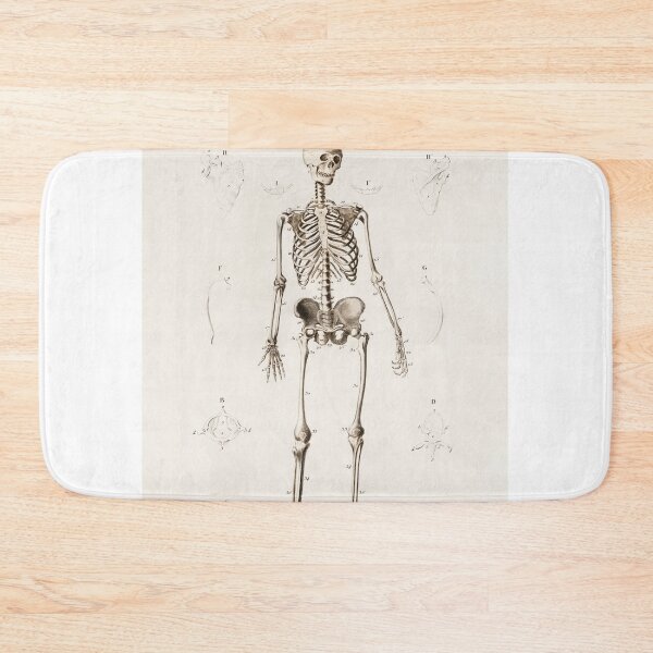 Item preview, Human Skeleton Anatomy Illustration designed and sold by SFTStudio.
