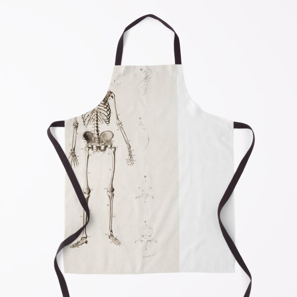 Item preview, Human Skeleton Anatomy Illustration designed and sold by SFTStudio.