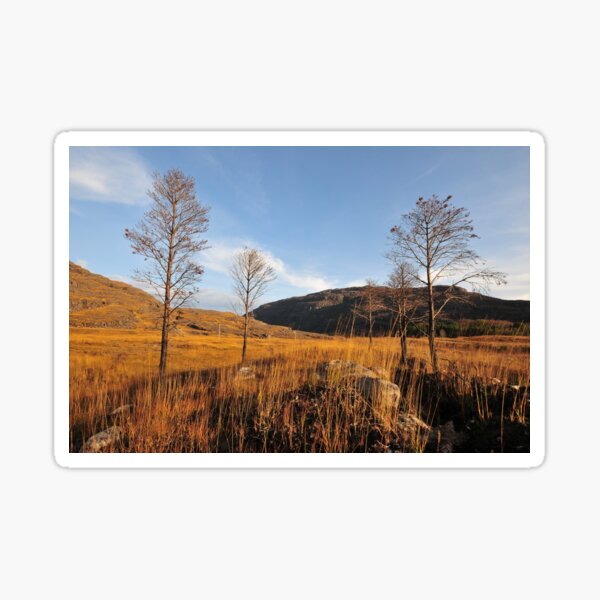 Glen Torridon Sticker