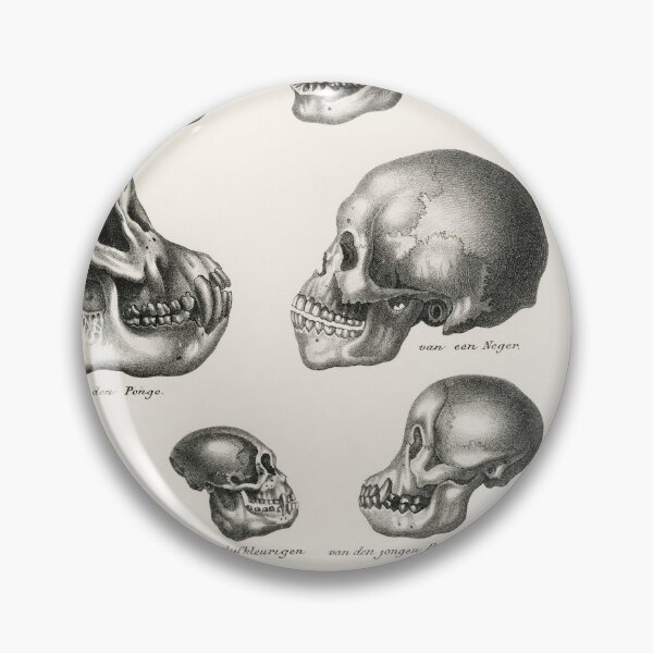 Item preview, Skulls Illustration - Human Evolution designed and sold by SFTStudio.