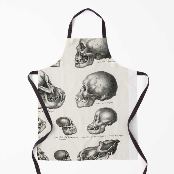 Item preview, Skulls Illustration - Human Evolution designed and sold by SFTStudio.