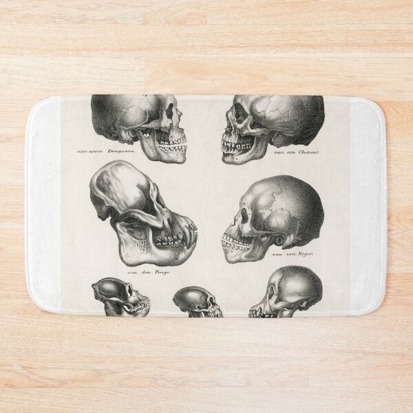 Item preview, Skulls Illustration - Human Evolution designed and sold by SFTStudio.