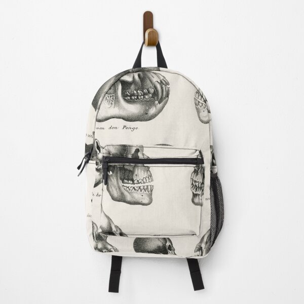 Item preview, Skulls Illustration - Human Evolution designed and sold by SFTStudio.