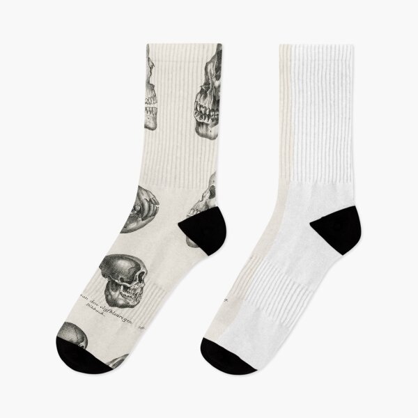 Item preview, Skulls Illustration - Human Evolution designed and sold by SFTStudio.
