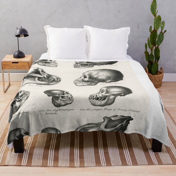 Item preview, Skulls Illustration - Human Evolution designed and sold by SFTStudio.