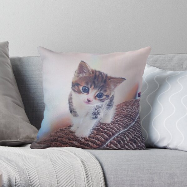 Cute Kitten Throw Pillow