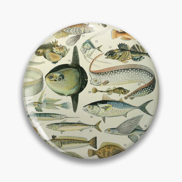 Item preview, Poissons A by Millot and Larousse designed and sold by SFTStudio.