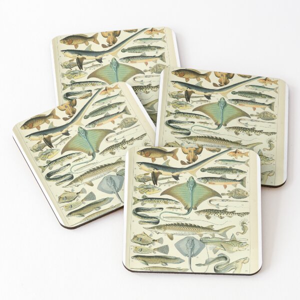 Item preview, Poissons B by Millot and Larousse designed and sold by SFTStudio.