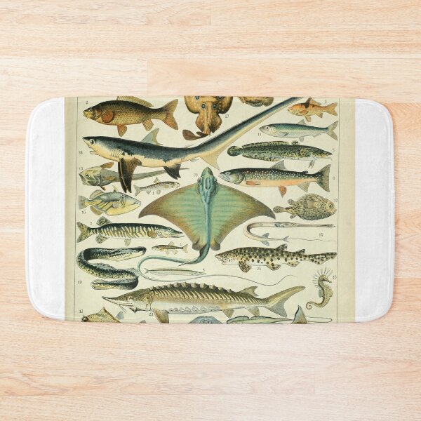Item preview, Poissons B by Millot and Larousse designed and sold by SFTStudio.