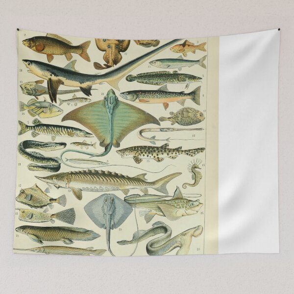 Item preview, Poissons B by Millot and Larousse designed and sold by SFTStudio.