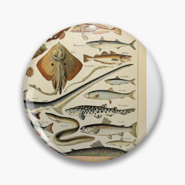 Item preview, Poissons Pour Tous by Millot and Larousse designed and sold by SFTStudio.