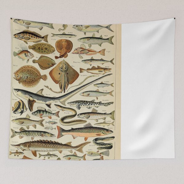 Item preview, Poissons Pour Tous by Millot and Larousse designed and sold by SFTStudio.