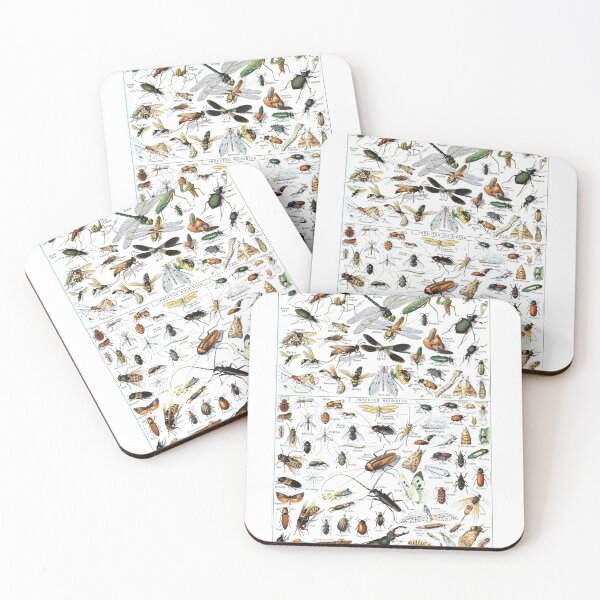 Item preview, Insects Illustrations by Millot and Larousse designed and sold by SFTStudio.