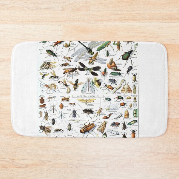 Item preview, Insects Illustrations by Millot and Larousse designed and sold by SFTStudio.