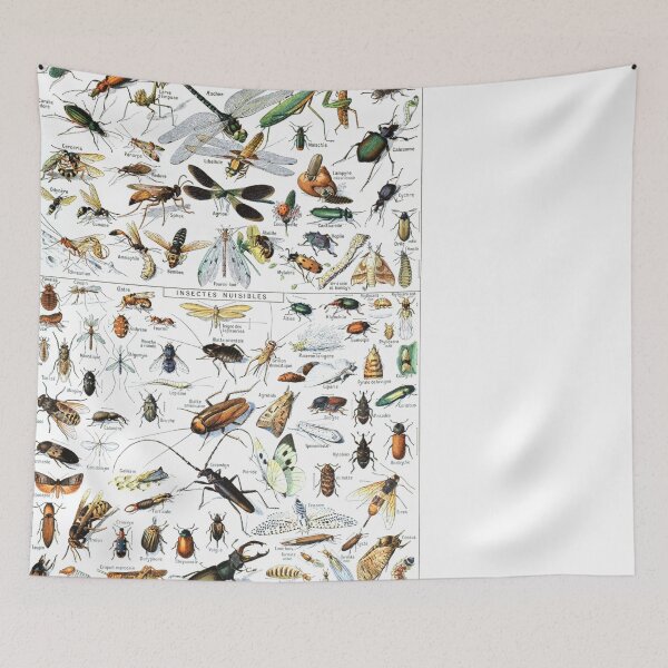 Item preview, Insects Illustrations by Millot and Larousse designed and sold by SFTStudio.