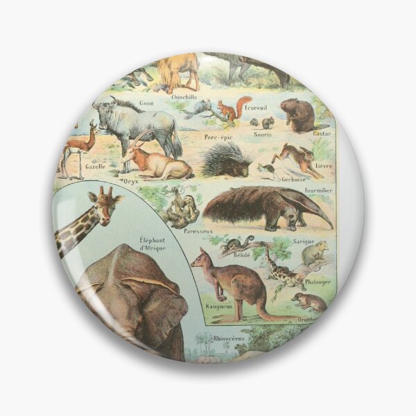 Item preview, Mammal Illustration - Larousse designed and sold by SFTStudio.