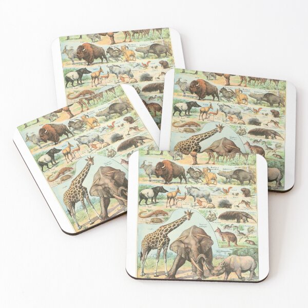 Item preview, Mammal Illustration - Larousse designed and sold by SFTStudio.