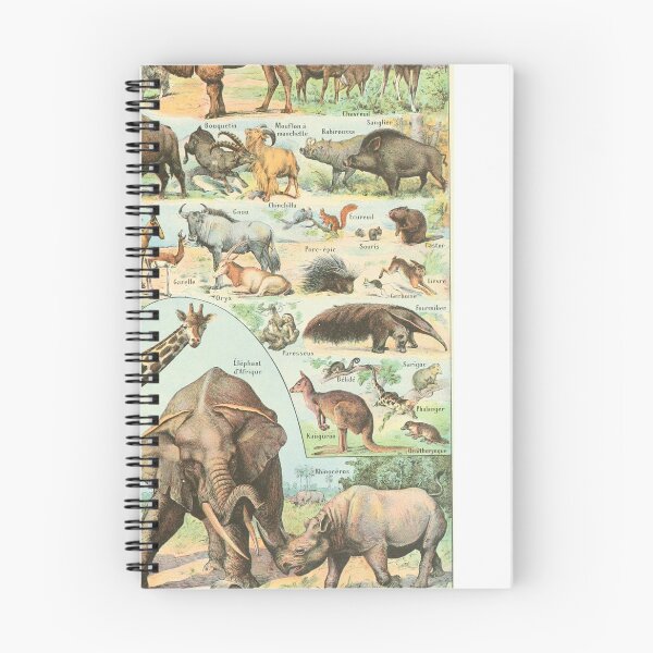 Item preview, Mammal Illustration - Larousse designed and sold by SFTStudio.