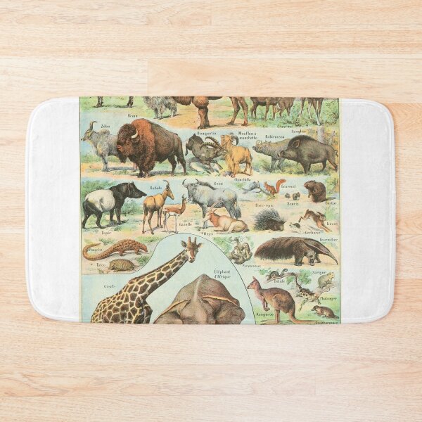 Item preview, Mammal Illustration - Larousse designed and sold by SFTStudio.