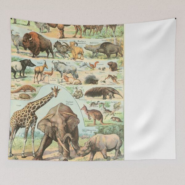 Item preview, Mammal Illustration - Larousse designed and sold by SFTStudio.