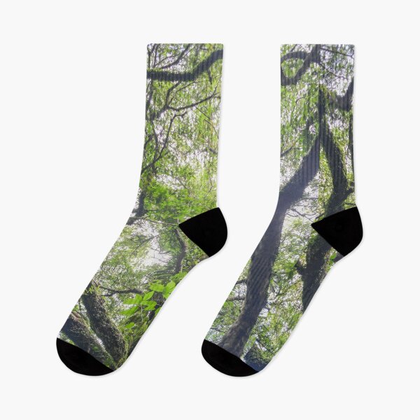 Item preview, Up the tree in Jeju designed and sold by Mike Ashley.