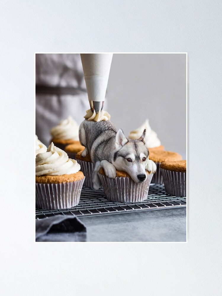 Husky sales dog cupcakes