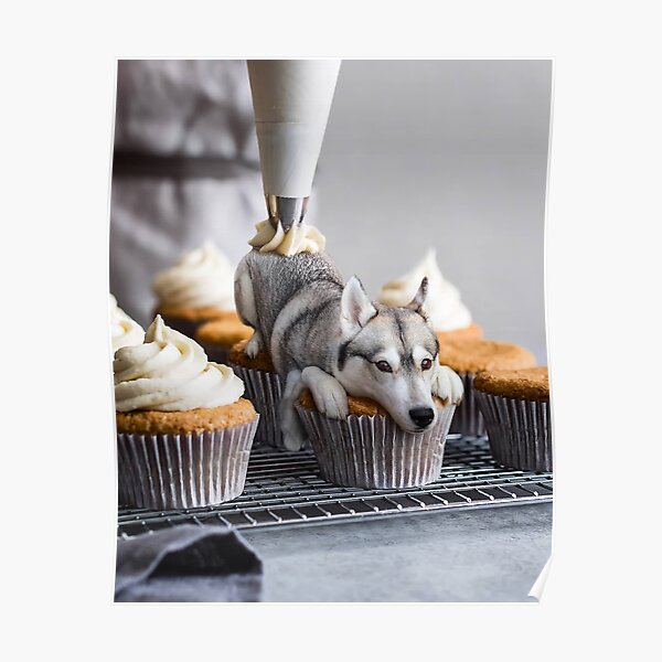 husky cupcakes
