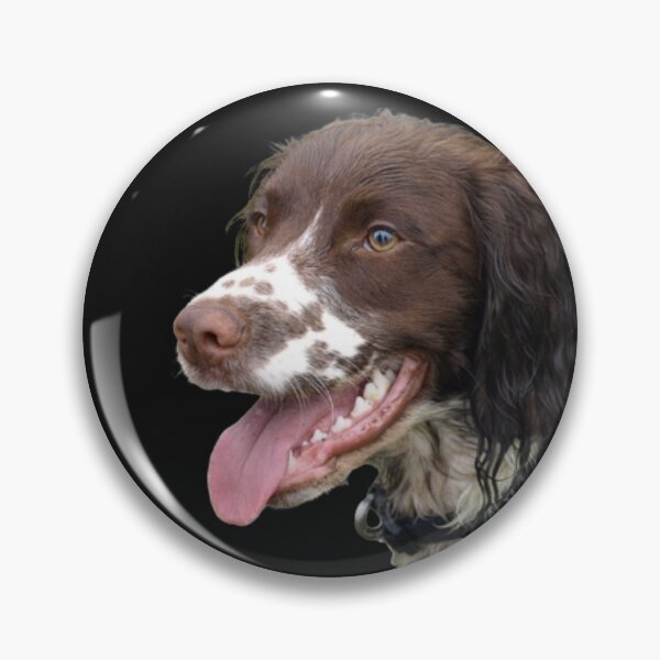 Item preview, Sprocker Spaniel designed and sold by ChaosReigns91.