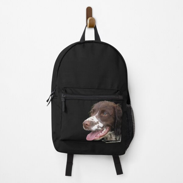 Item preview, Sprocker Spaniel designed and sold by ChaosReigns91.