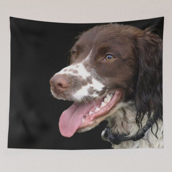 Item preview, Sprocker Spaniel designed and sold by ChaosReigns91.
