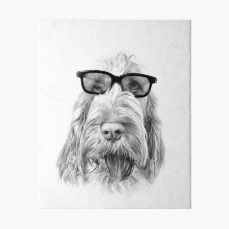 Intelligent friend Spinone Art Board Print