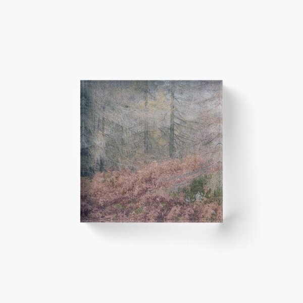 Item preview, Autumn in the Lakes designed and sold by john lever.