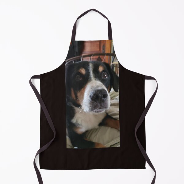 Item preview, Bravo designed and sold by Kim Taylor.