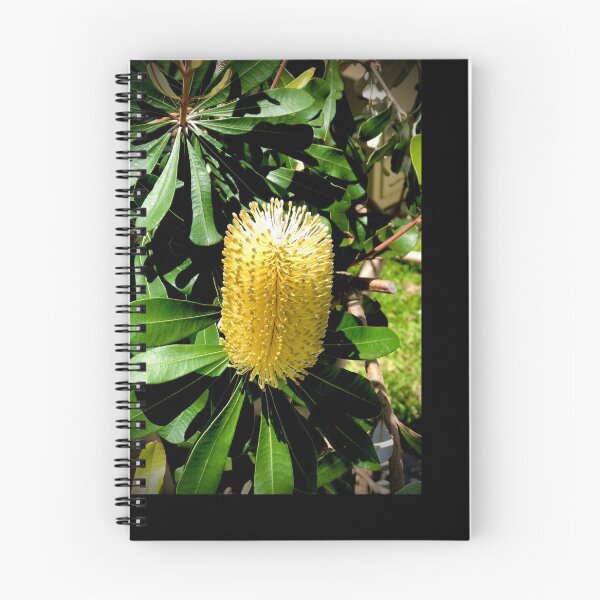 Item preview, Beaut Bottlebrush  designed and sold by KazM.