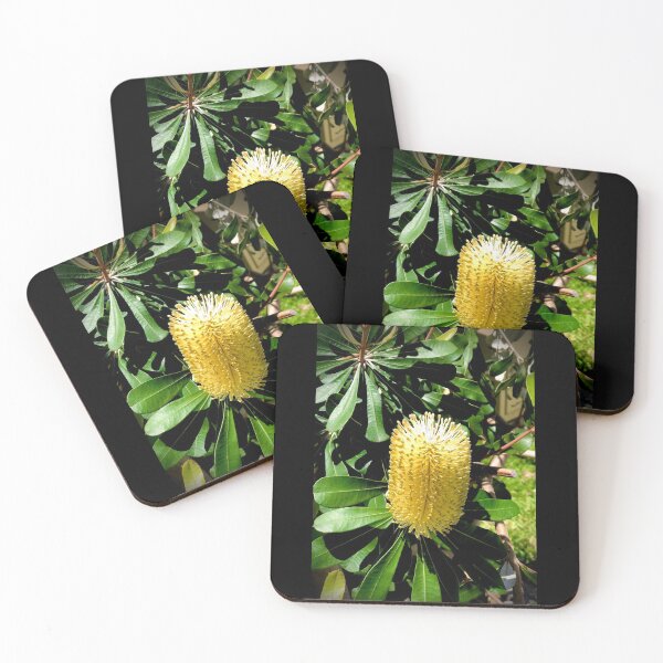 Item preview, Beaut Bottlebrush  designed and sold by KazM.