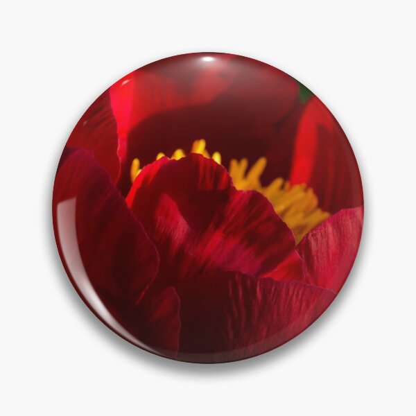 Item preview, Lipstick Red Beauty with a Golden Heart - One Very Showy Peony Bloom designed and sold by Georgia Mizuleva.