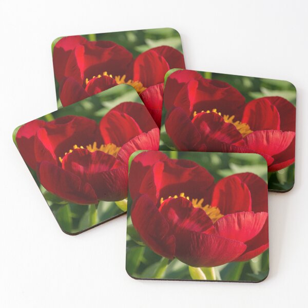 Item preview, Lipstick Red Beauty with a Golden Heart - One Very Showy Peony Bloom designed and sold by Georgia Mizuleva.