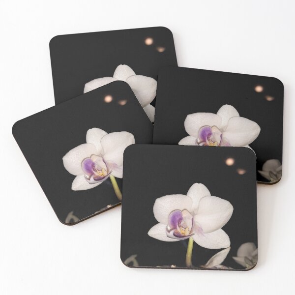 Item preview, Gorgeous white orchid  designed and sold by Kaullo.