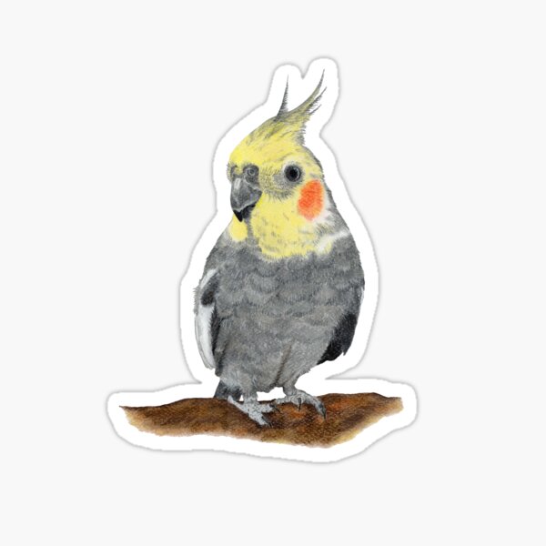Cockatiel '' Fips '' Sticker