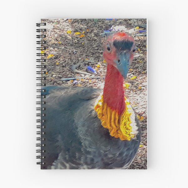 Artikelvorschau, Australisches Brush Turkey Original entworfen und verkauft von SimpleJoyStyle.