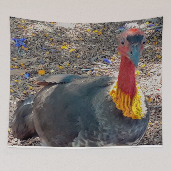 Item preview, Australian Brush Turkey Original designed and sold by SimpleJoyStyle.