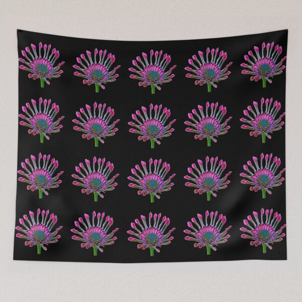 Item preview, Daisy - Osteospermum 1 designed and sold by MG-Photo.